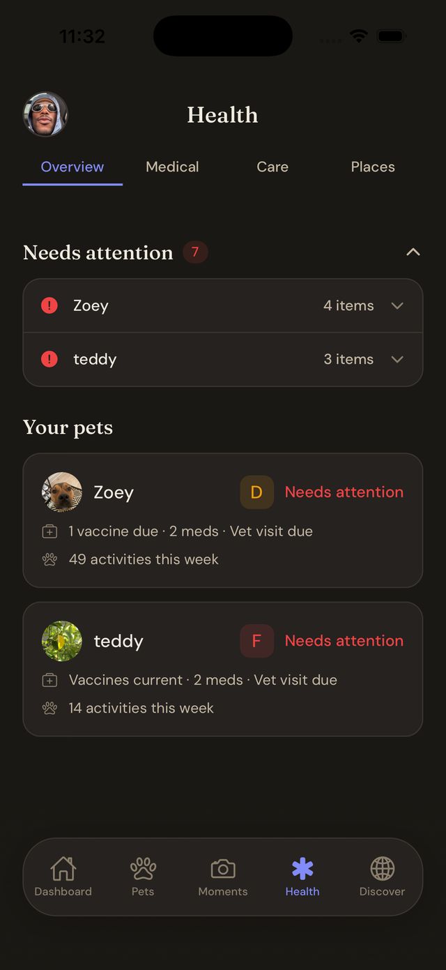 Health overview listing what needs attention for each pet